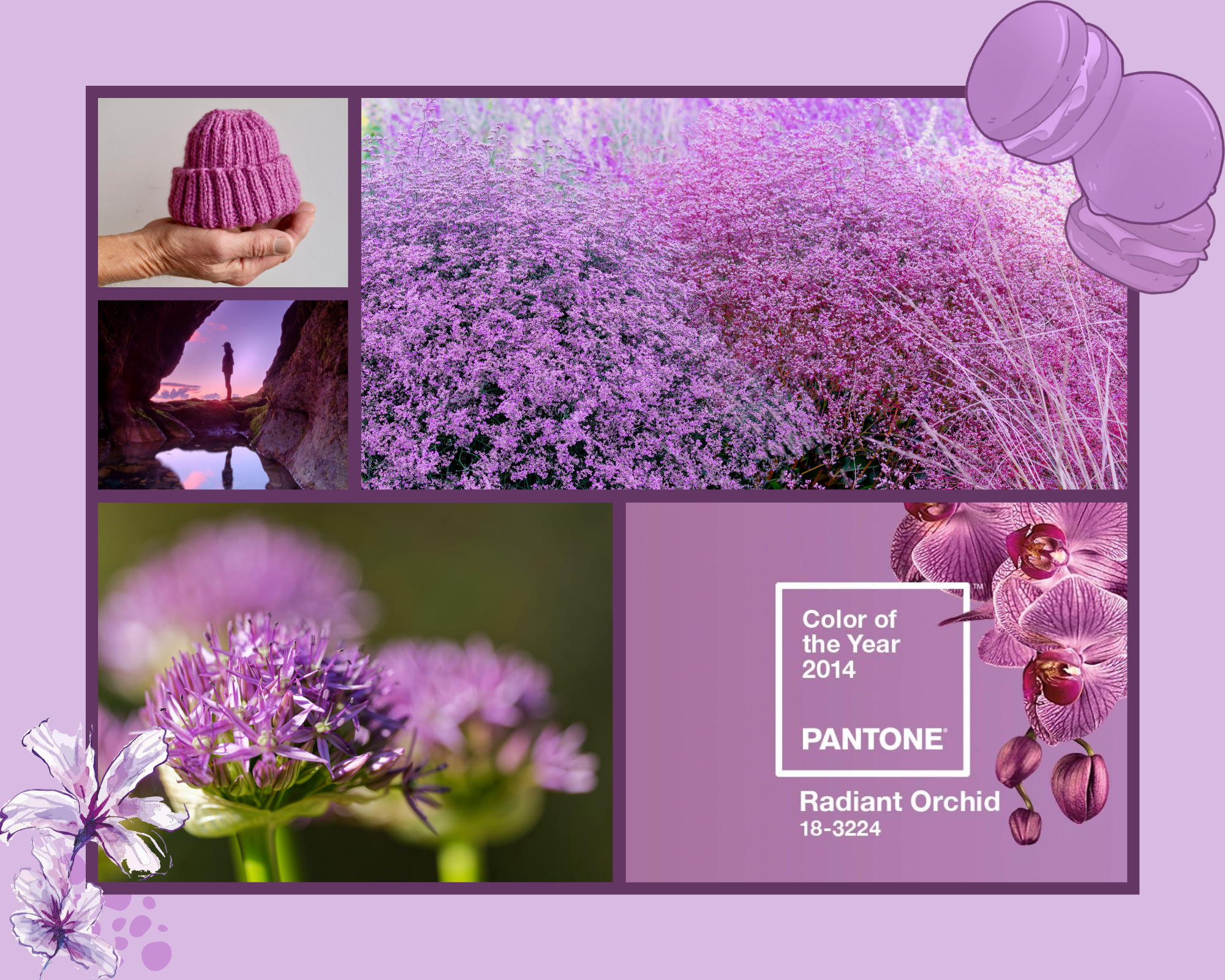 Cor Pantone 2014: Radiant Orchid